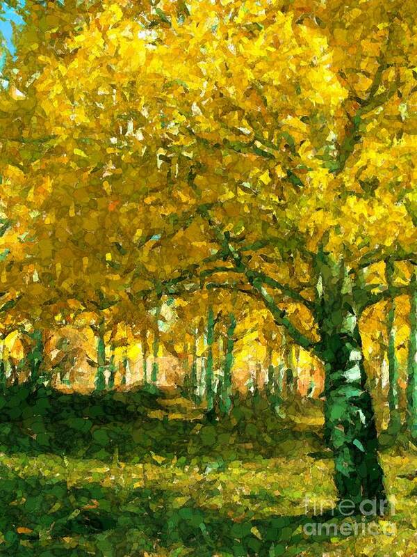 Aspen Trees In Groves Impressionistic Fall Colors Colorado Poster featuring the digital art Grove of Aspens by Annie Gibbons