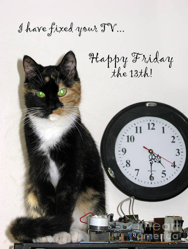 Pet Poster featuring the photograph Happy Friday The 13th by Ausra Huntington nee Paulauskaite