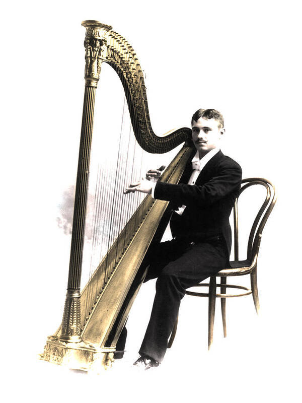 Harpist Poster featuring the photograph Harp Player by Andrew Fare