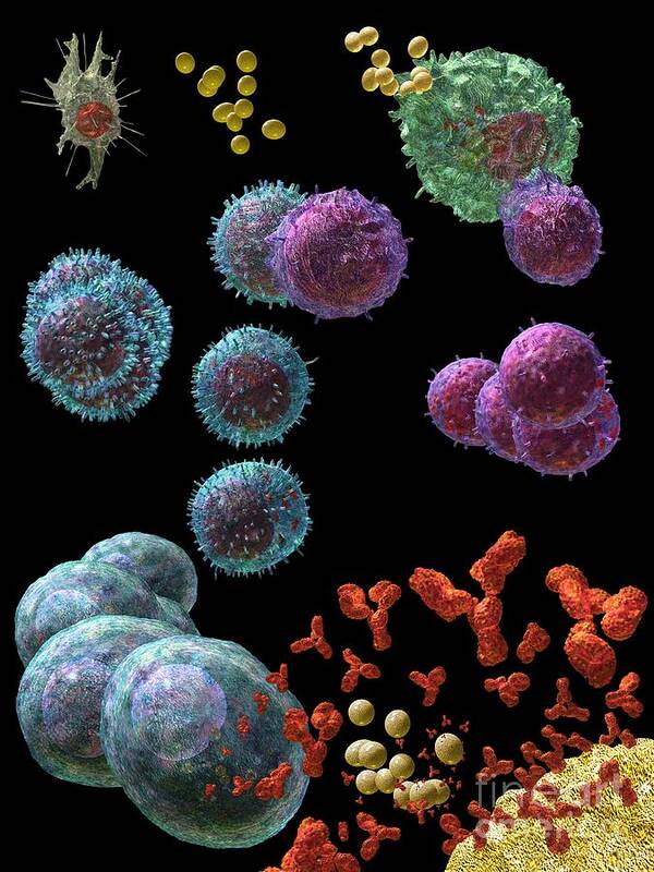 Antibodies Poster featuring the digital art Immune Response Antibody 5 by Russell Kightley