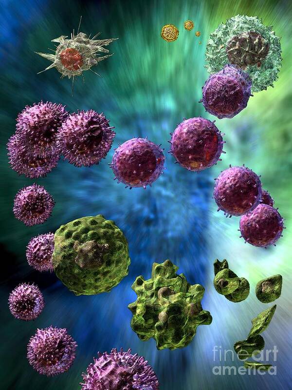 Antigens Poster featuring the digital art Immune Response Cytotoxic 3 by Russell Kightley