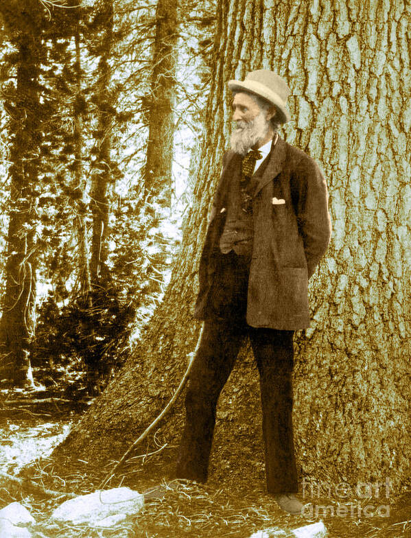 History Poster featuring the photograph John Muir, Naturalist by Science Source