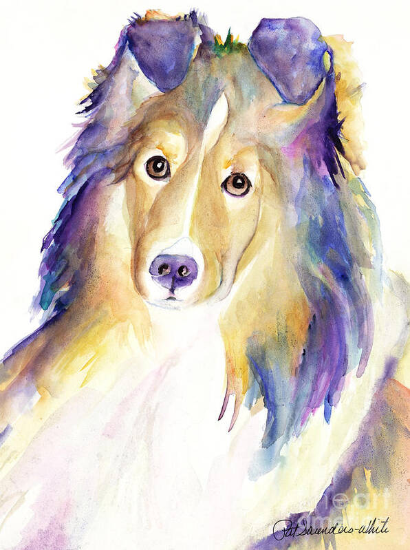 Sheltie Poster featuring the painting Kelly by Pat Saunders-White