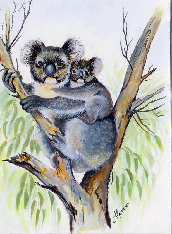 Koala Poster featuring the painting Koala and baby by Anne Gardner