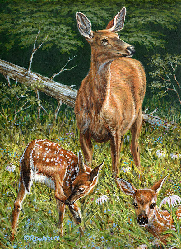 White-tailed Deer Poster featuring the painting Mothers Worry by Richard De Wolfe