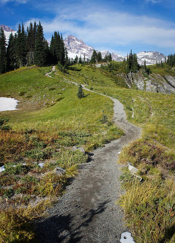 Mount Rainier Poster featuring the photograph Mountain Path by Lynn Wohlers