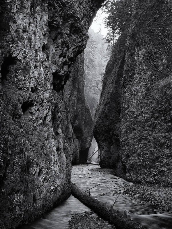 Creek Poster featuring the photograph Oneonta Gorge by Jon Ares