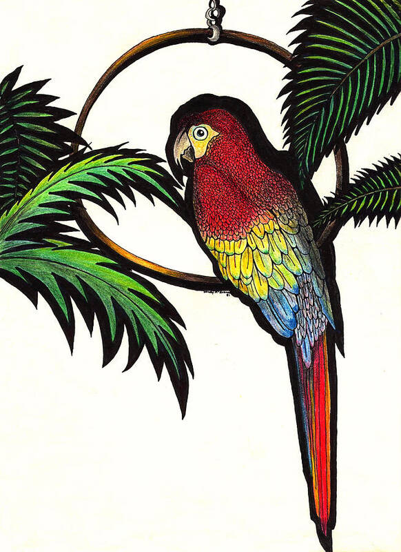 Parrot Poster featuring the drawing Parrot Shadows by Wendy McKennon