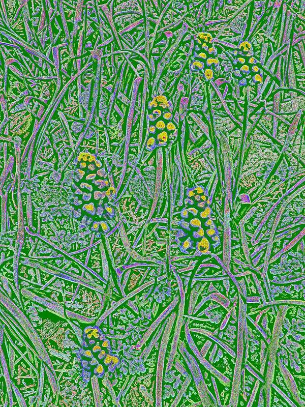 Grass Poster featuring the digital art Pearls In The Grass 1 by Tim Allen