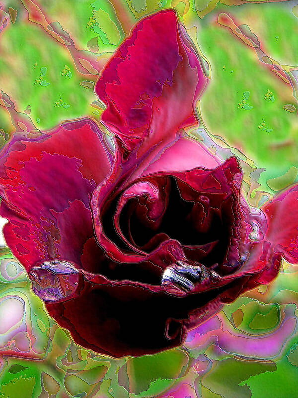 Spring Poster featuring the photograph Rose Contours by Lora Fisher
