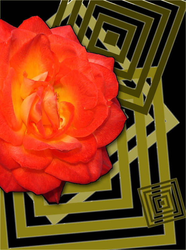 Red Rose Poster featuring the photograph Rose by Edite Azevedo
