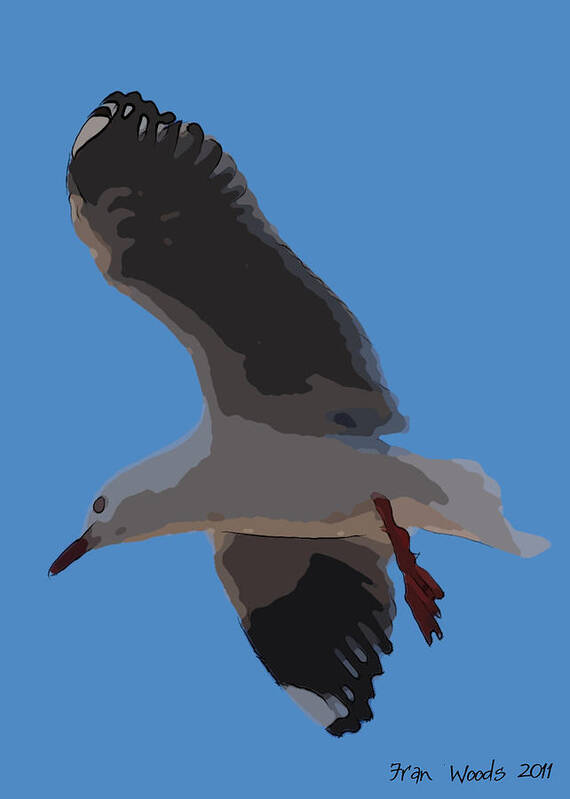 sea Gull Poster featuring the digital art Seagull in flight by Fran Woods