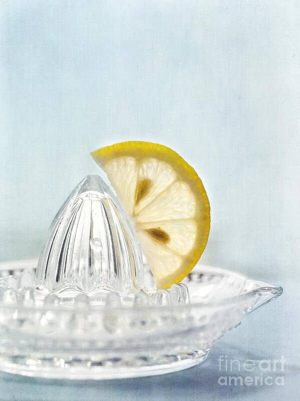 Lemon Poster featuring the photograph Still Life With A Half Slice Of Lemon by Priska Wettstein