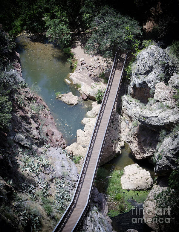 Bridge Poster featuring the photograph The Foot Bridge by Donna Greene