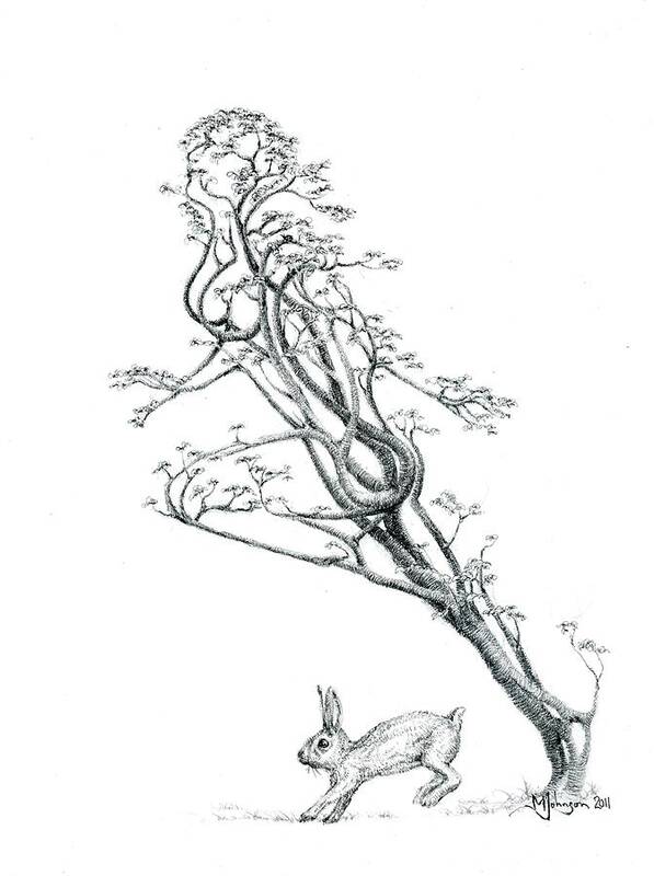 Tree Dancer Poster featuring the drawing The Swift by Mark Johnson