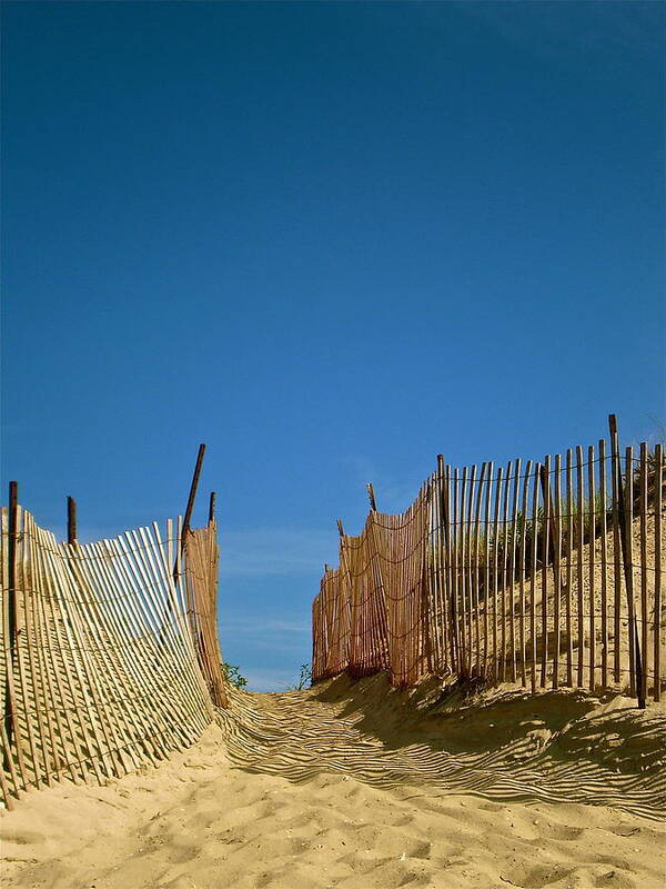 Ocean Poster featuring the photograph Through the Dunes by Susan Elise Shiebler