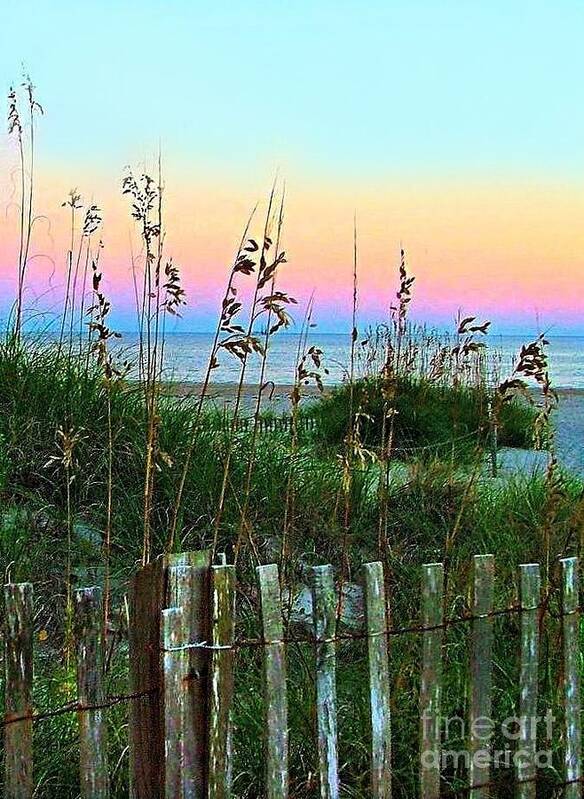 Topsail Island Poster featuring the photograph Topsail Island Dunes and Sand Fence by Julie Dant