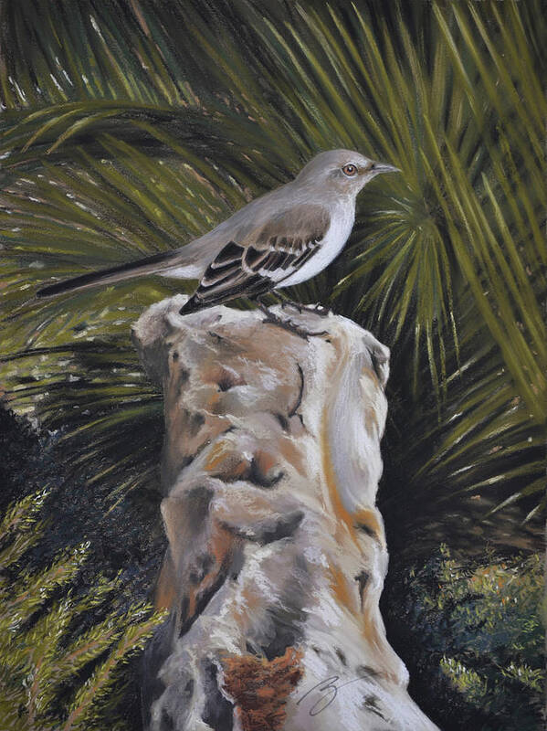Bird. Mocking Bird Poster featuring the pastel Watchful eye by Ben Kotyuk