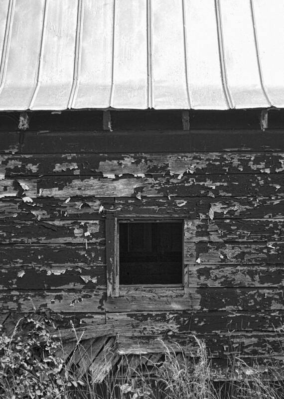 Barn Poster featuring the photograph What Lies Within by Kathy Clark