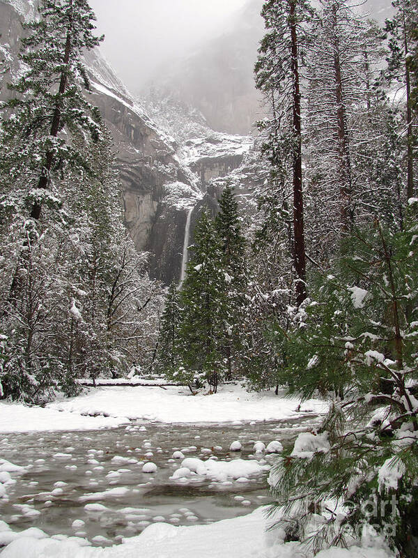 Yosemite Poster featuring the photograph Wonderland Yosemite by Heidi Smith