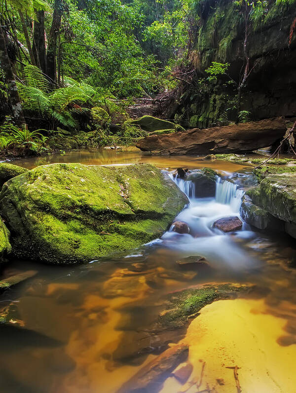 Terrace Falls Reserve Poster featuring the photograph Woodford's Gem by Mark Lucey