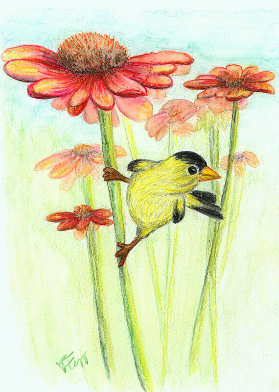 Bird Poster featuring the drawing Yellow finch by Tatiana Fess