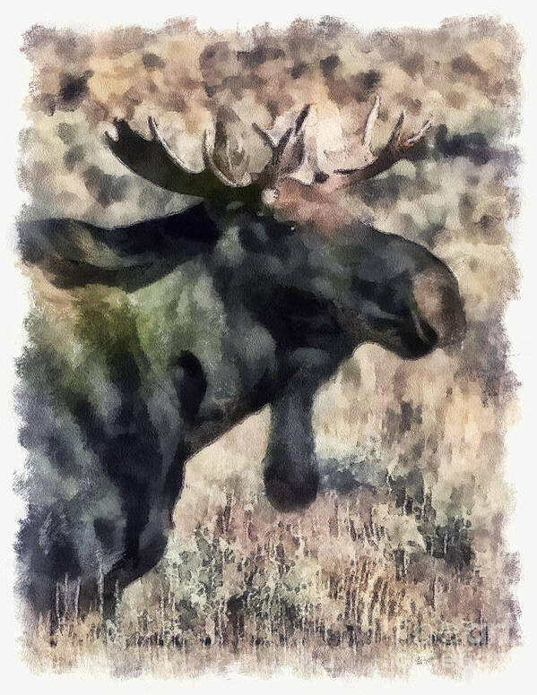 Moose Poster featuring the photograph Young Bull Moose by Clare VanderVeen