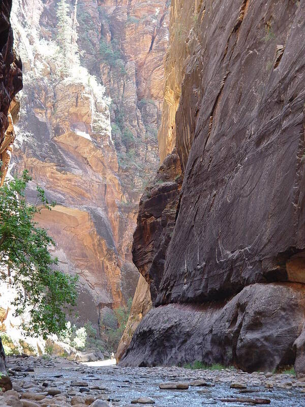 Zion Awe Poster featuring the photograph Zion Awe by Elizabeth Sullivan