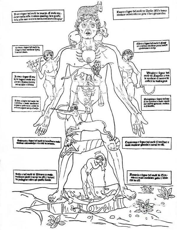 Science Poster featuring the photograph Zodiac Man, Medical Astrology by Science Source