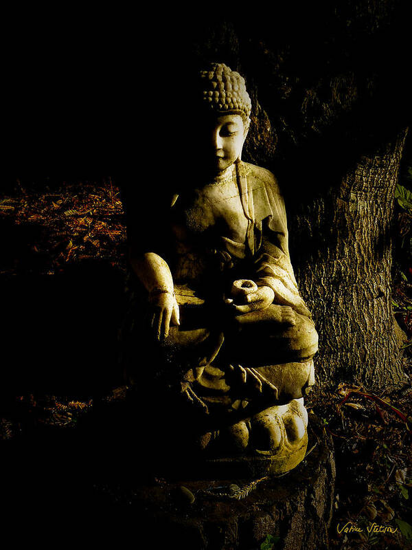Buddha Poster featuring the photograph Seeing the light by Sabine Stetson