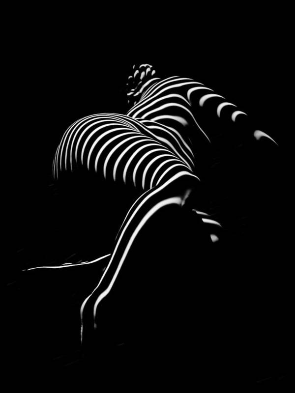0773-ar Poster featuring the photograph 0773-AR Striped Zebra Woman Side View Abstract Black and White Photograph by Chris Maher by Chris Maher