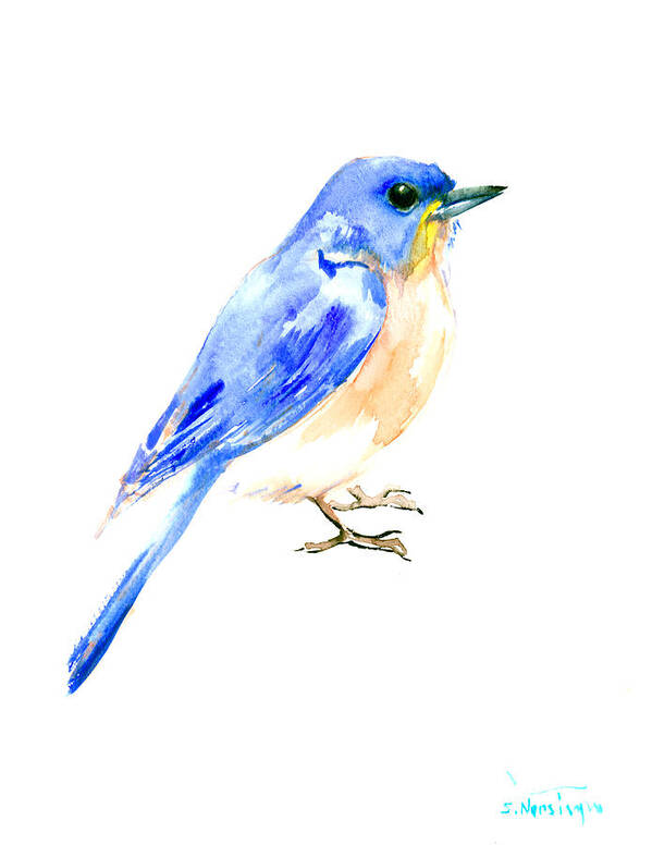 Bluebird Poster featuring the painting Eastern Bluebird #1 by Suren Nersisyan