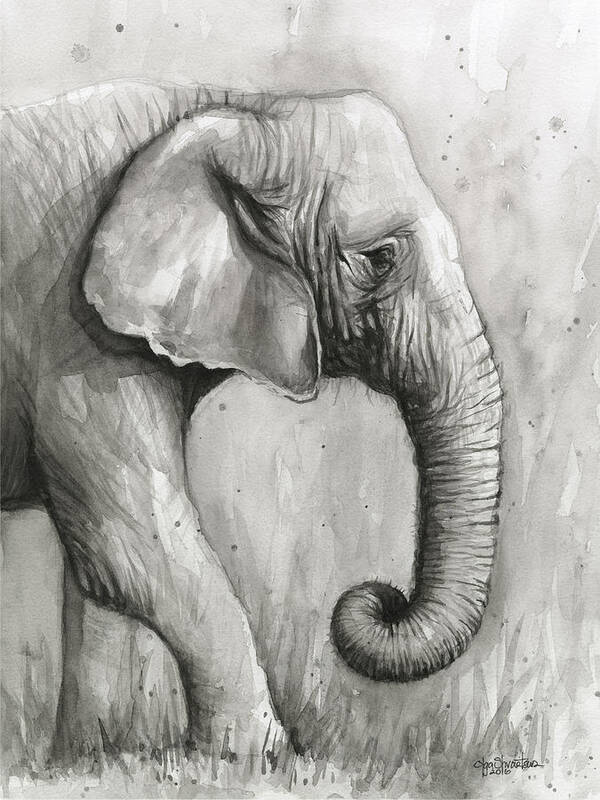 Elephant Poster featuring the painting Elephant Watercolor #2 by Olga Shvartsur