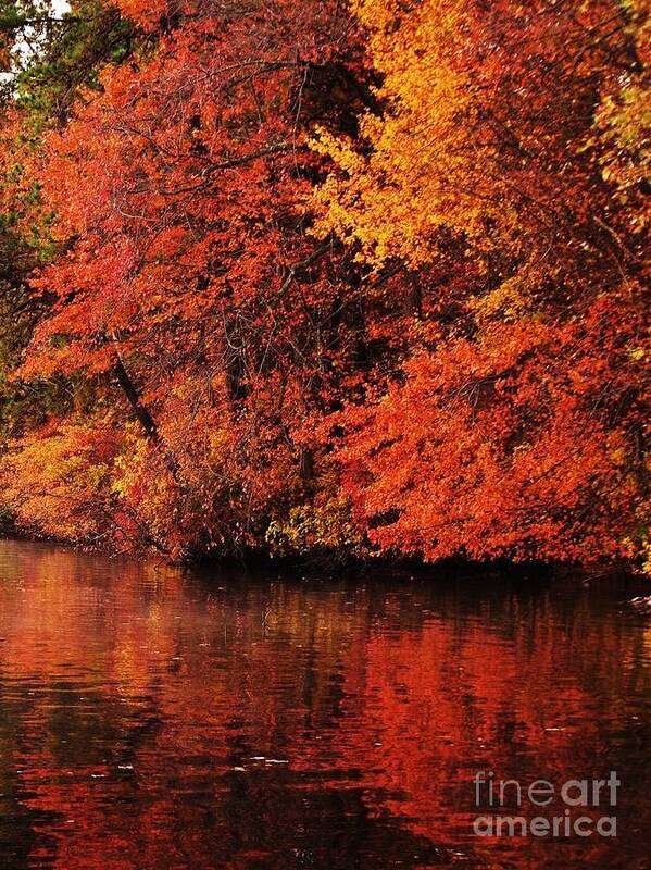  Poster featuring the photograph Fall Colors #1 by Joseph Perno