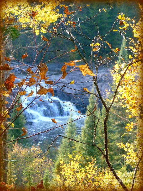  Poster featuring the photograph Falls IN Autumn #1 by Wild Rose Studio