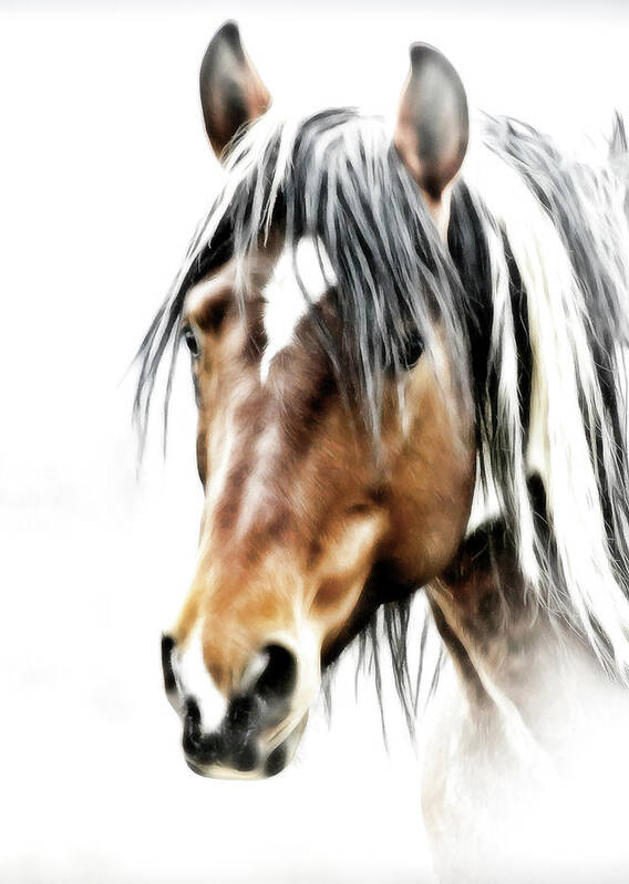 Horse Poster featuring the photograph Wild One #1 by Athena Mckinzie