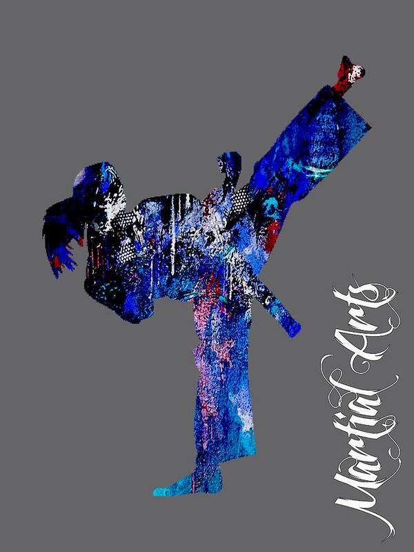 Martial Arts Poster featuring the mixed media Martial Arts Collection #14 by Marvin Blaine