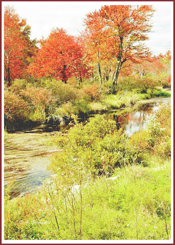 Tunkhannock Creek Poster featuring the photograph Stream in Autumn, Pocono Mountains, Pennsylvania #8 by A Macarthur Gurmankin