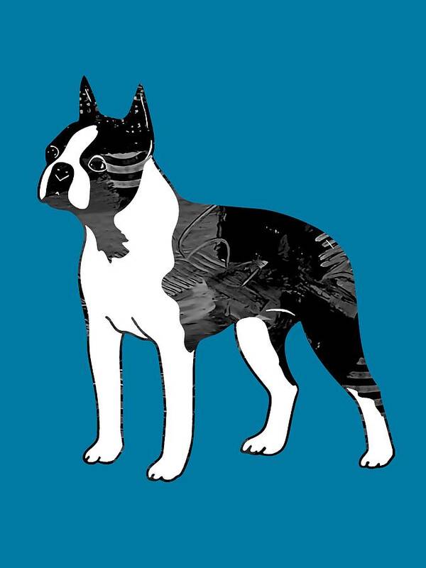 Boston Terrier Poster featuring the mixed media Boston Terrier Collection #2 by Marvin Blaine