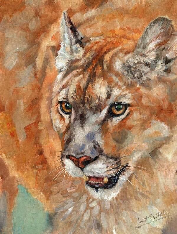 Cougar Poster featuring the painting Cougar #1 by David Stribbling