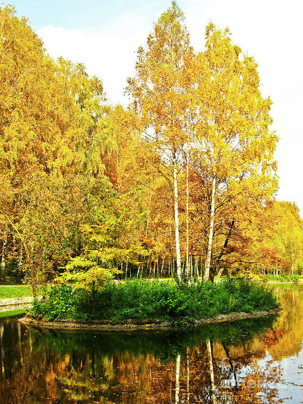 Autumn Poster featuring the photograph Autumn landscape #4 by Irina Afonskaya