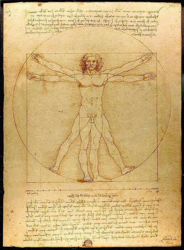 Leonardo Da Vinci Poster featuring the drawing Vitruvian Man #5 by Leonardo Da Vinci