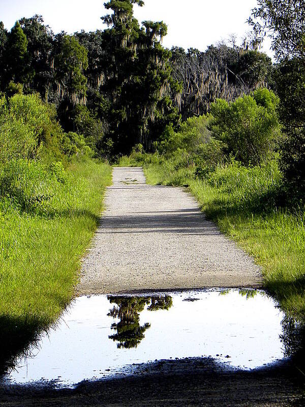 Landscape Photography Poster featuring the photograph A Reflection on Heron Hideout Trail by Christopher Mercer