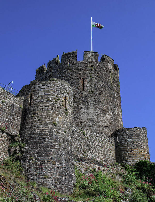 Conwy Castle Poster featuring the photograph A Tower at Conwy Castle by Robert Pilkington