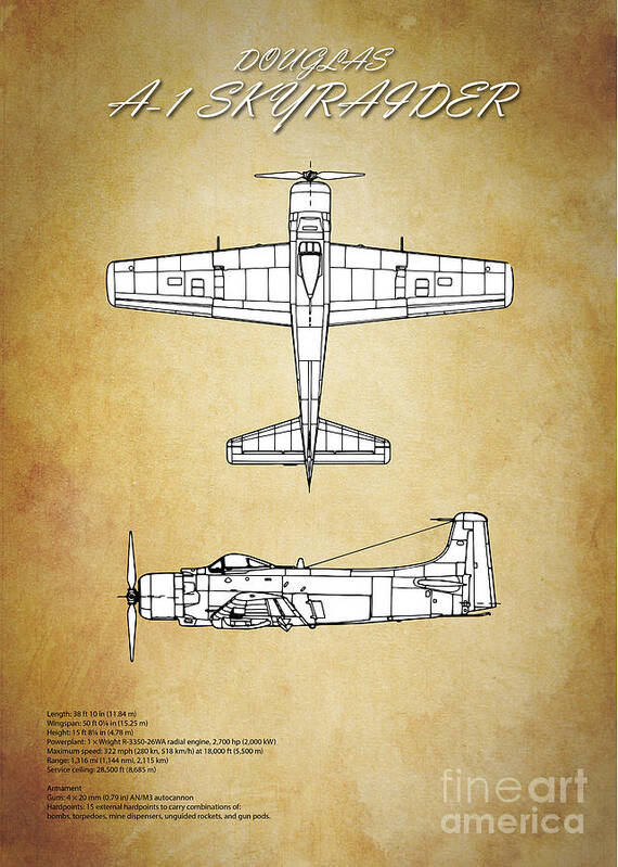 A1 Poster featuring the digital art A1 Skyraider Blueprint by Airpower Art