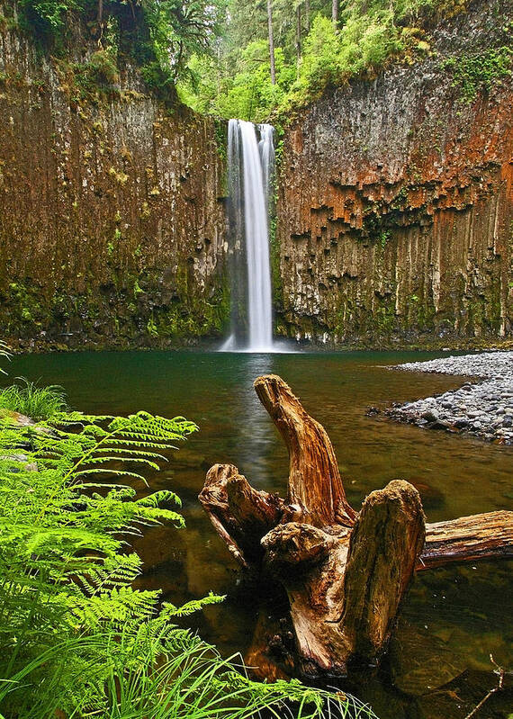 Waterfall Poster featuring the photograph Abiqua Falls Oregon by Ulrich Burkhalter