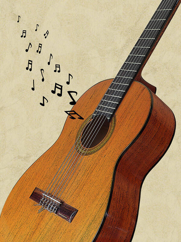 Acoustic Guitar Poster featuring the photograph Acoustic Guitar Sounds by Gill Billington