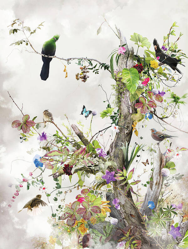 Landscape Poster featuring the digital art Aerius by Jesper Krijgsman