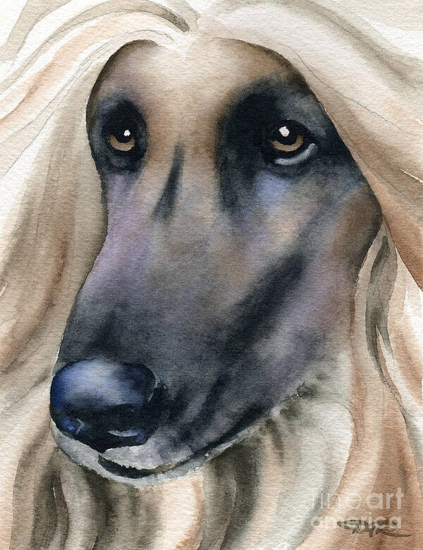 Afghan Poster featuring the painting Afghan Hound by David Rogers