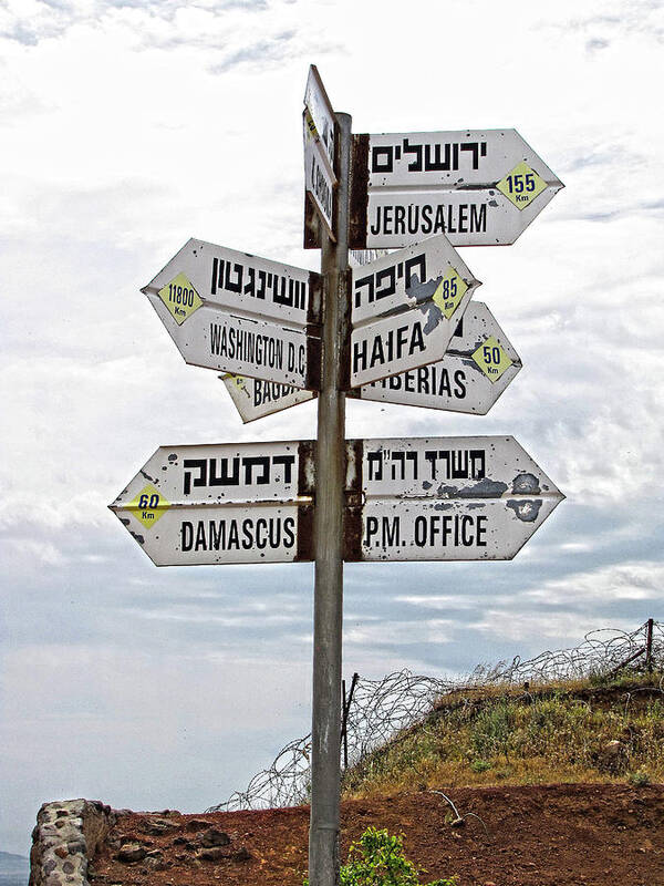 Israel Poster featuring the photograph All Roads Lead Somewhere by Helaine Cummins